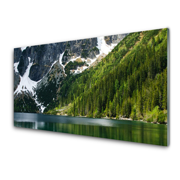 Plexiglas® Wall Art Lake forest mountains landscape grey white green