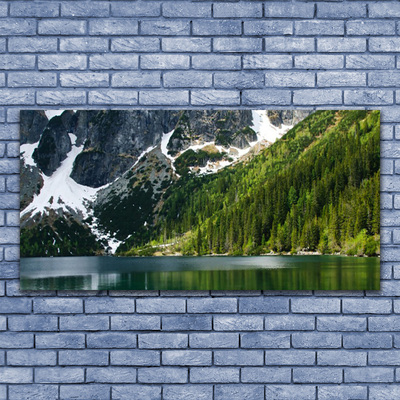 Plexiglas® Wall Art Lake forest mountains landscape grey white green