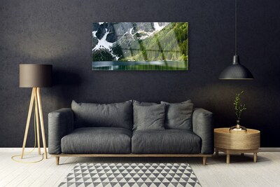 Plexiglas® Wall Art Lake forest mountains landscape grey white green