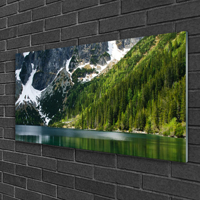 Plexiglas® Wall Art Lake forest mountains landscape grey white green