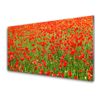Plexiglas® Wall Art Poppies nature red green