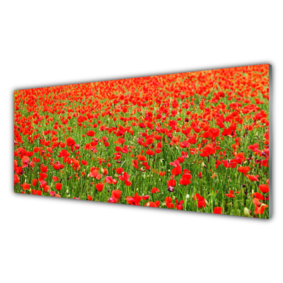 Plexiglas® Wall Art Poppies nature red green