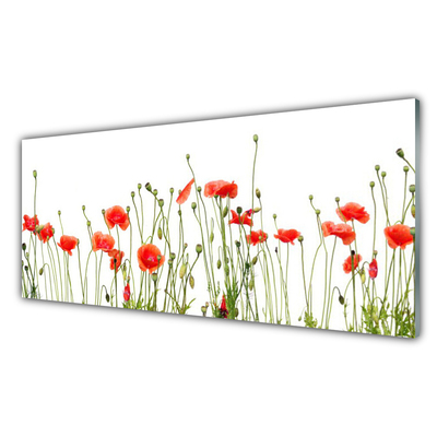 Plexiglas® Wall Art Poppies floral red green