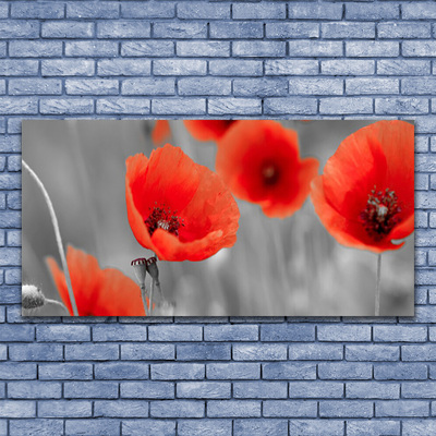 Plexiglas® Wall Art Poppies floral red grey