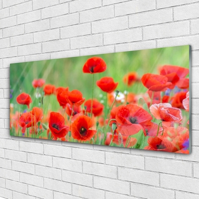 Plexiglas® Wall Art Poppies floral red black