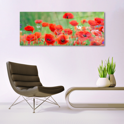 Plexiglas® Wall Art Poppies floral red black