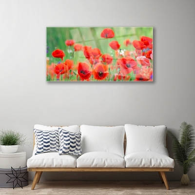 Plexiglas® Wall Art Poppies floral red black