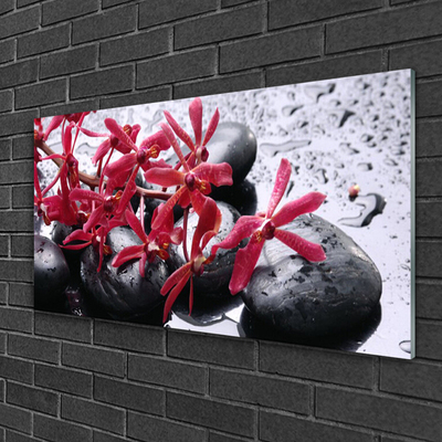 Plexiglas® Wall Art Flower stones art black red