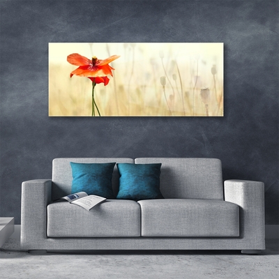 Plexiglas® Wall Art Poppy floral red green