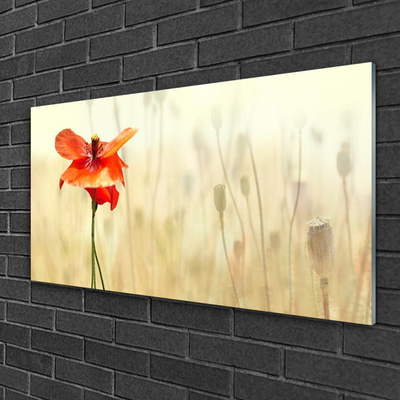 Plexiglas® Wall Art Poppy floral red green