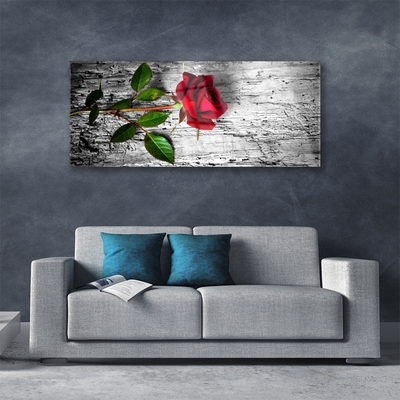 Plexiglas® Wall Art Rose floral red green