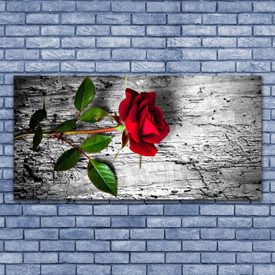 Plexiglas® Wall Art Rose floral red green