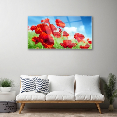 Plexiglas® Wall Art Poppies floral red