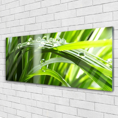 Plexiglas® Wall Art Grass dew drops floral green