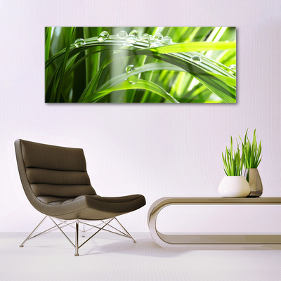 Plexiglas® Wall Art Grass dew drops floral green