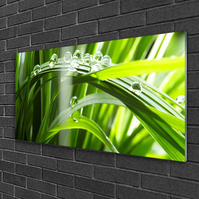 Plexiglas® Wall Art Grass dew drops floral green