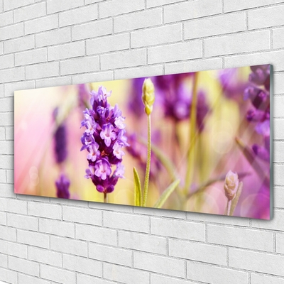 Plexiglas® Wall Art Flowers floral pink