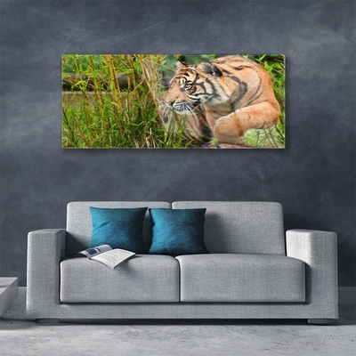 Plexiglas® Wall Art Tiger animals brown black