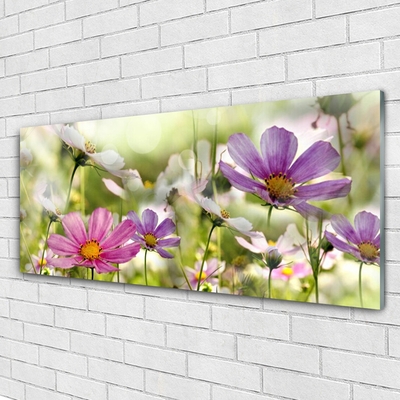 Plexiglas® Wall Art Flowers nature pink yellow green