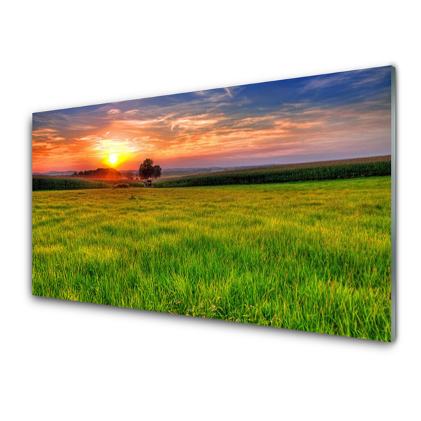 Plexiglas® Wall Art Meadow sun nature green yellow purple