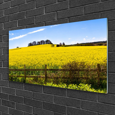 Plexiglas® Wall Art Field landscape green