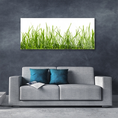 Plexiglas® Wall Art Grass nature green