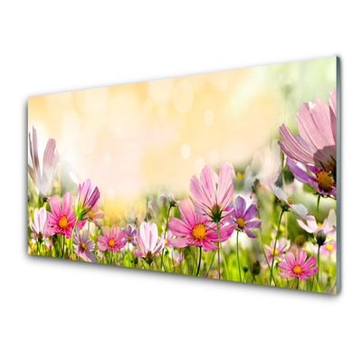 Plexiglas® Wall Art Flowers nature pink yellow green