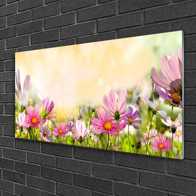 Plexiglas® Wall Art Flowers nature pink yellow green