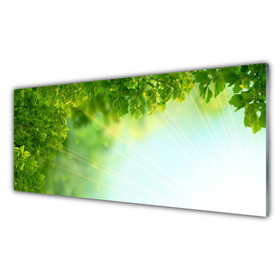 Plexiglas® Wall Art Leaves nature green