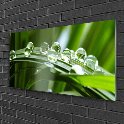 Plexiglas® Wall Art Grass dew drops floral green