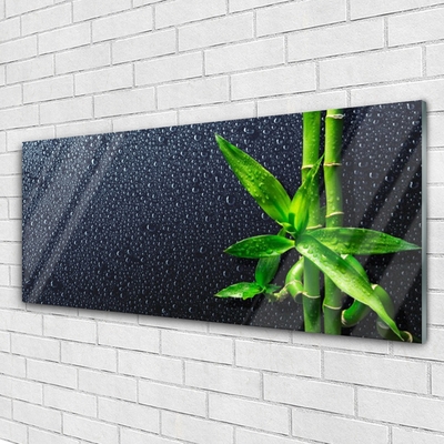 Plexiglas® Wall Art Bamboo stalks floral green