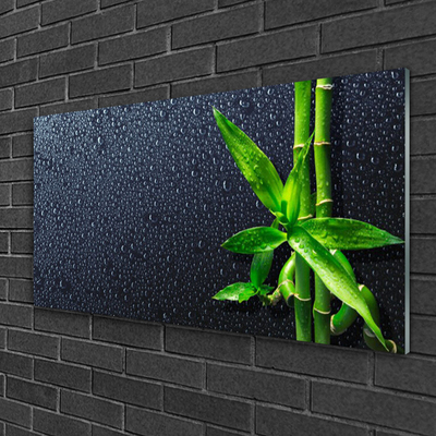 Plexiglas® Wall Art Bamboo stalks floral green