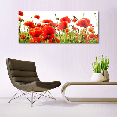 Plexiglas® Wall Art Poppies nature red green