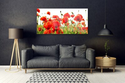 Plexiglas® Wall Art Poppies nature red green