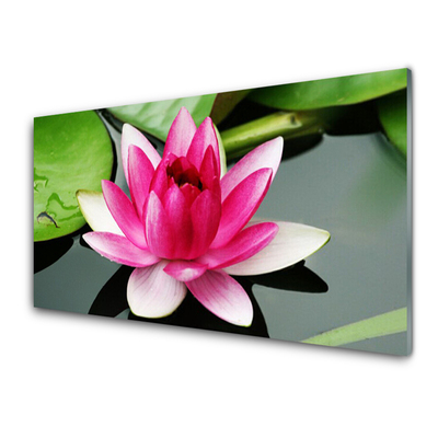 Plexiglas® Wall Art Flower floral red white