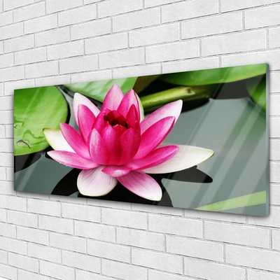 Plexiglas® Wall Art Flower floral red white