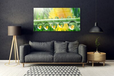 Plexiglas® Wall Art Stem dew drops floral green