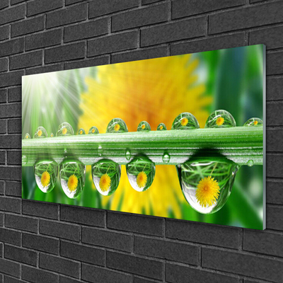 Plexiglas® Wall Art Stem dew drops floral green