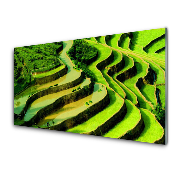 Plexiglas® Wall Art Forest nature green