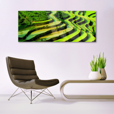 Plexiglas® Wall Art Forest nature green