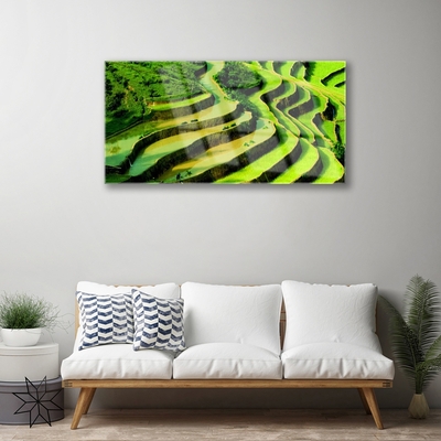 Plexiglas® Wall Art Forest nature green