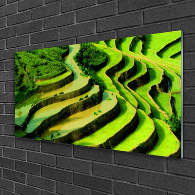 Plexiglas® Wall Art Forest nature green