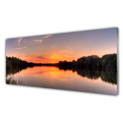 Plexiglas® Wall Art Lake forest landscape yellow greengrey