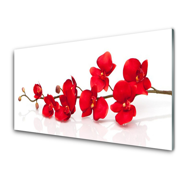 Plexiglas® Wall Art Flowers floral red