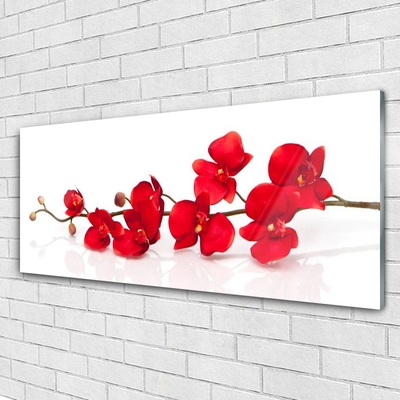 Plexiglas® Wall Art Flowers floral red