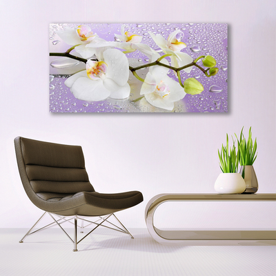 Plexiglas® Wall Art Flowers floral white