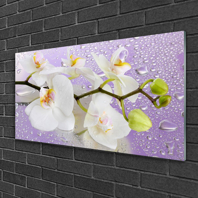 Plexiglas® Wall Art Flowers floral white