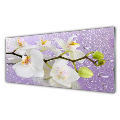 Plexiglas® Wall Art Flowers floral white