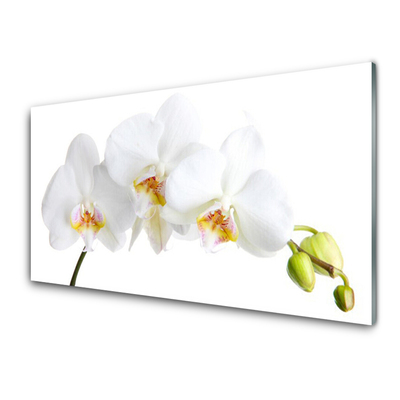 Plexiglas® Wall Art Flowers floral white