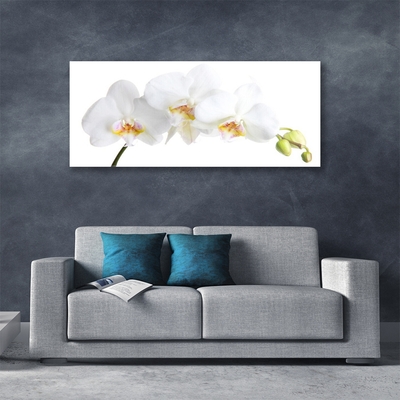 Plexiglas® Wall Art Flowers floral white